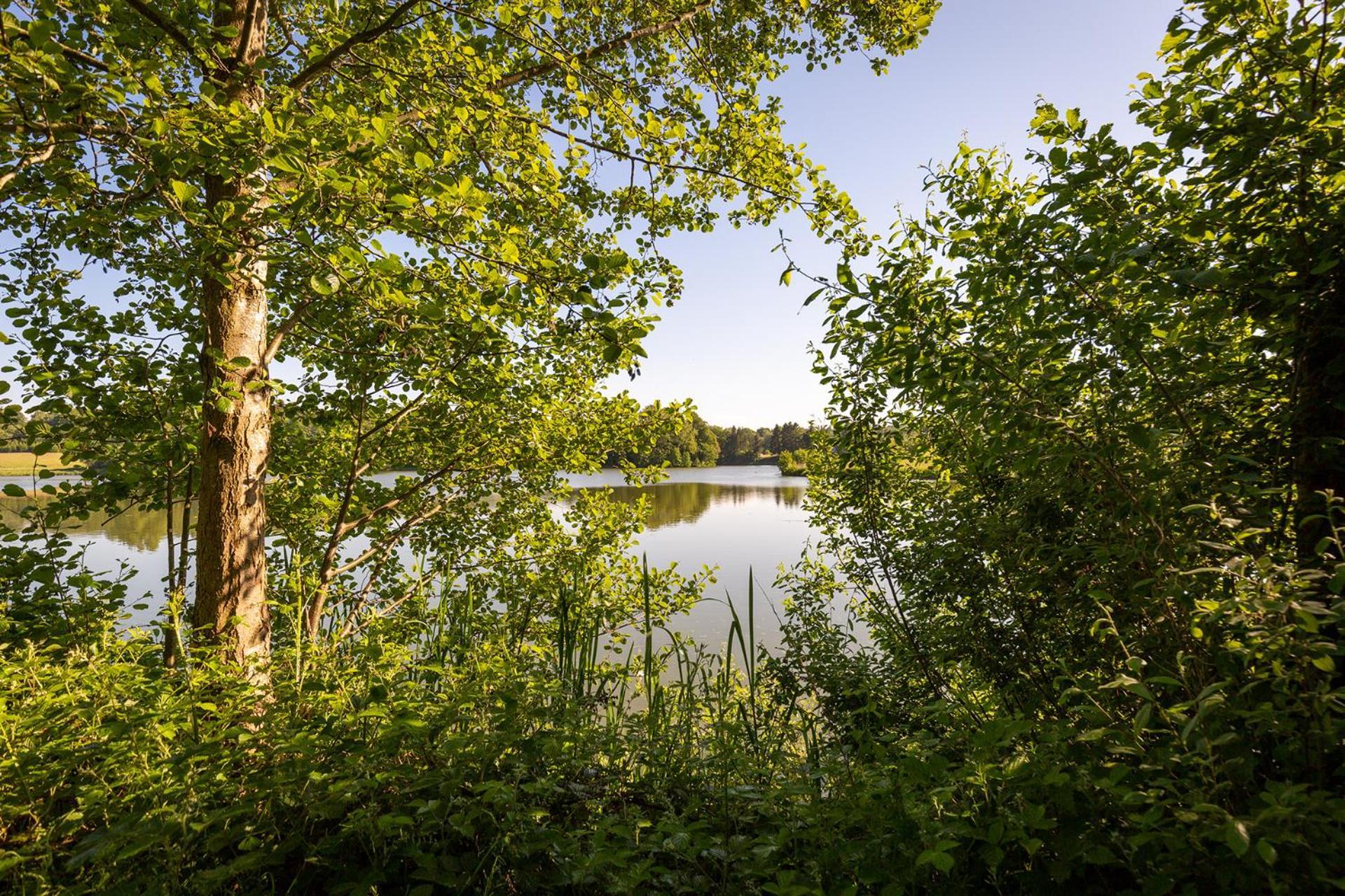 Ferienhaus Am Moenchneversdorfer See Schonwalde am Bungsberg Buitenkant foto