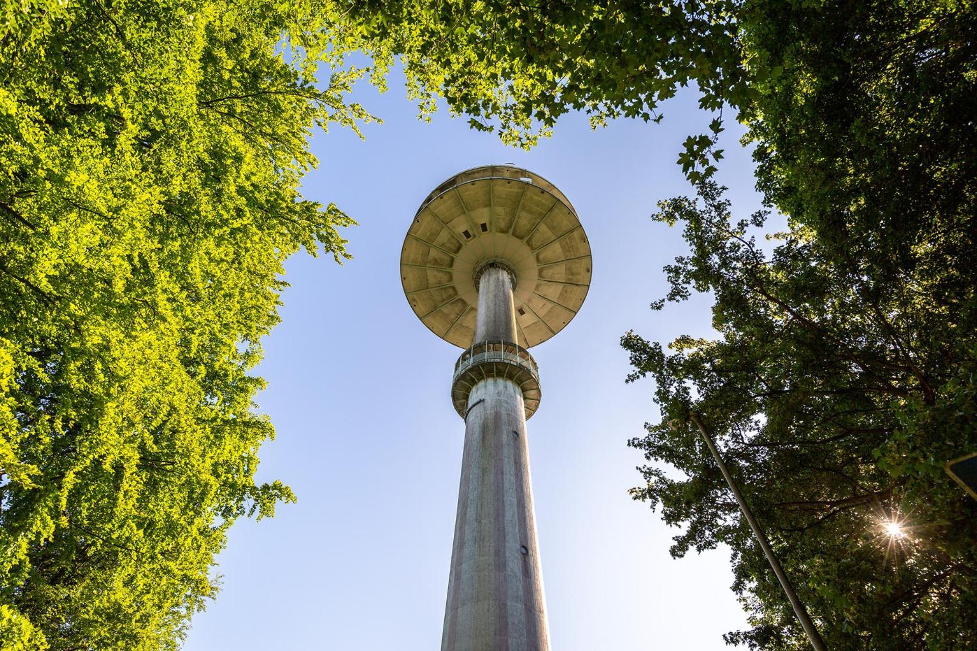 Ferienhaus Am Moenchneversdorfer See Schonwalde am Bungsberg Buitenkant foto